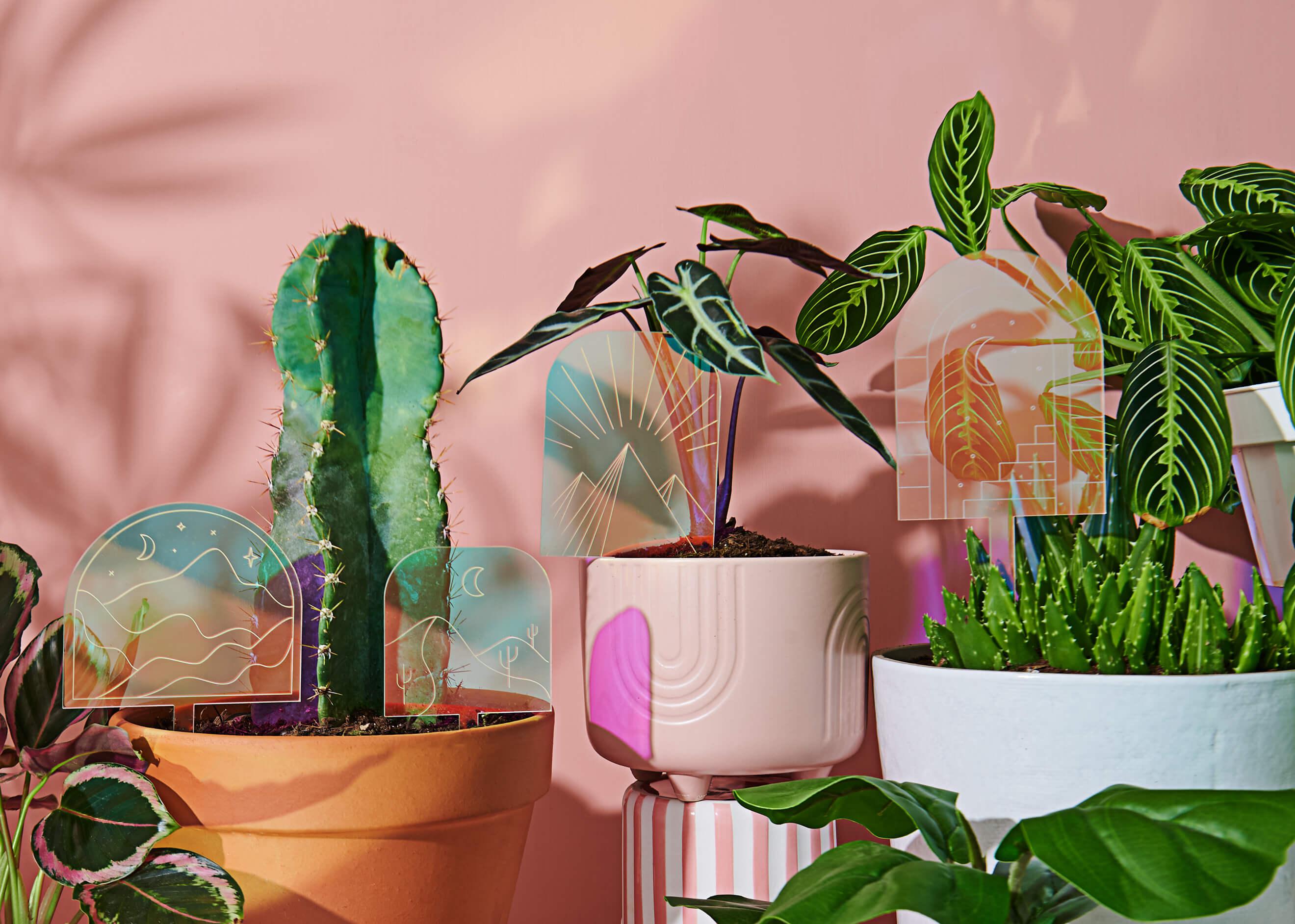 Elevate Your Greenery: The Ultimate Guide to Decorative House Plant Stakes