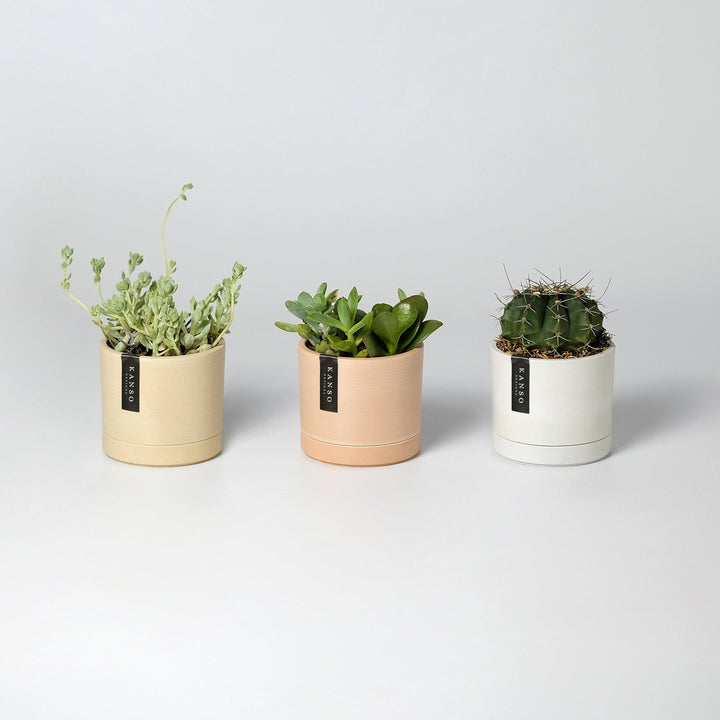 3.5" Earth Tone Mini Planters