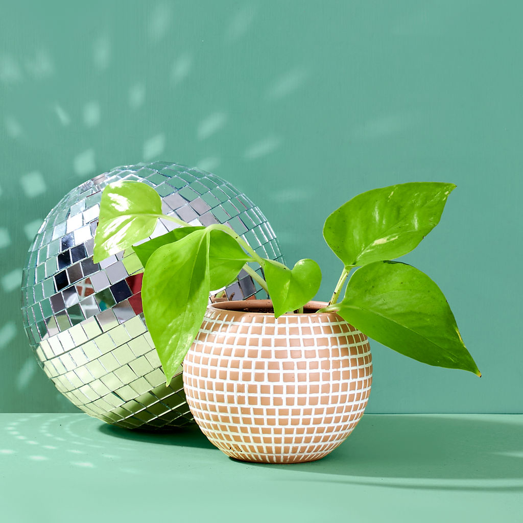 Small Disco Ball Ceramic Planter - Sand