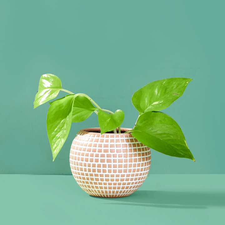 Small Disco Ball Ceramic Planter - Sand