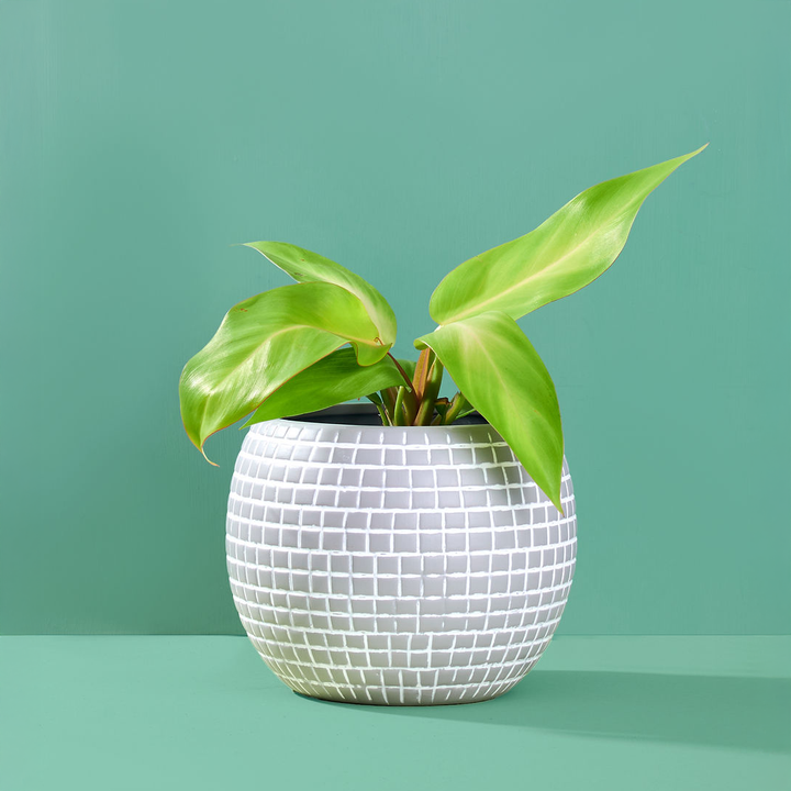 Disco Ball Ceramic Planter Bundle Trio