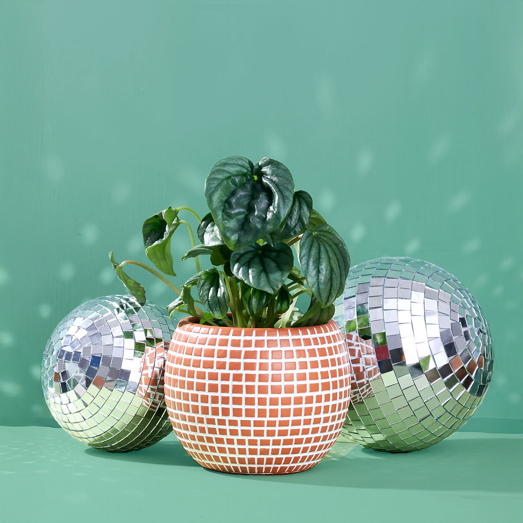 Medium Disco Ball Ceramic Planter - Terracotta