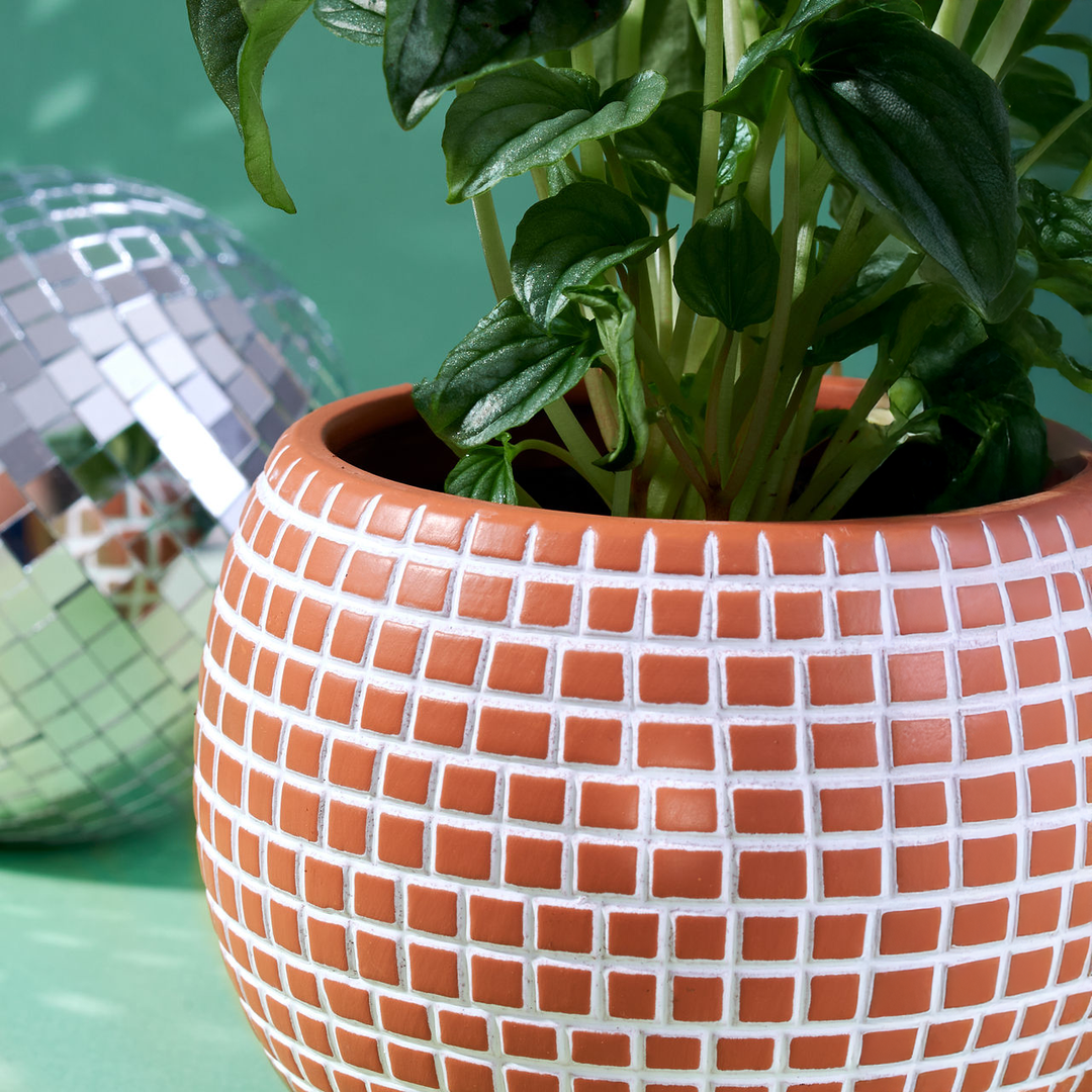 Medium Disco Ball Ceramic Planter - Terracotta