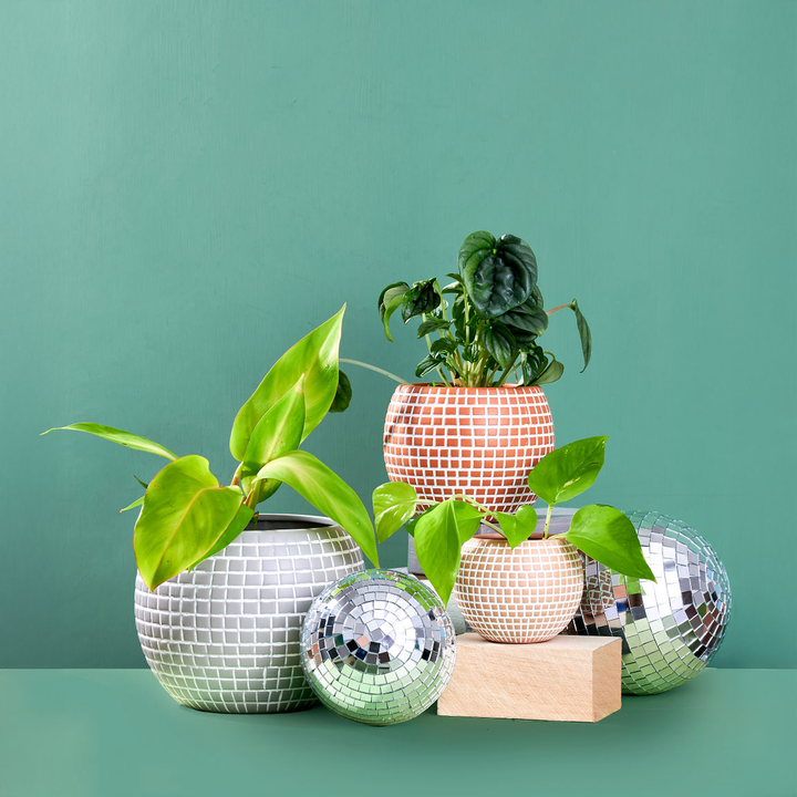 Small Disco Ball Ceramic Planter - Sand