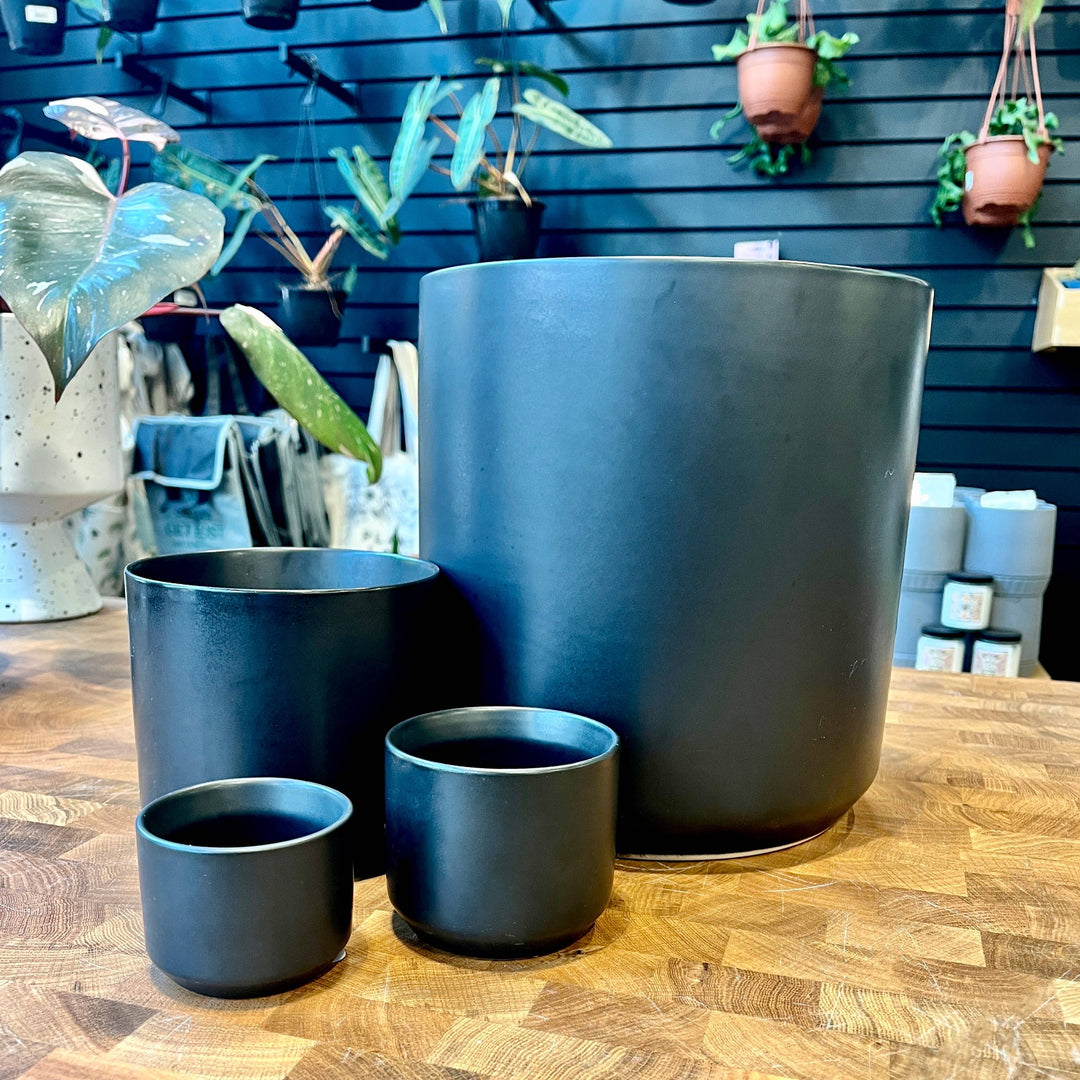 2.5" Round Black Pot